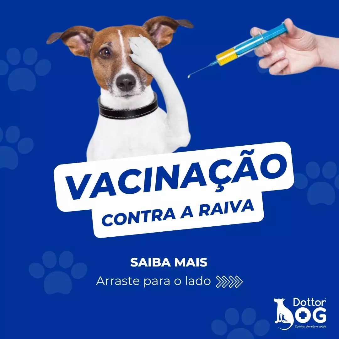 VACINE SEUS PETS CONTRA A RAIVA E PROTEJA A SUA FAMÍLIA